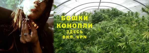 гидропоника Бронницы