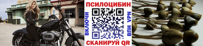 продажа наркотиков  Сусуман  Галлюциногенные грибы MAGIC MUSHROOMS 